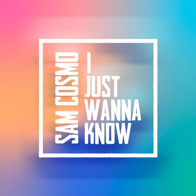 I Just Wanna Know cover