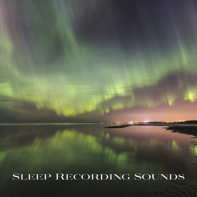 Sleep Recording Sounds image
