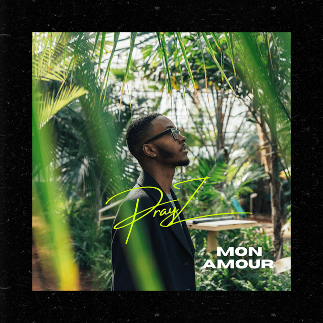 Mon Amour cover