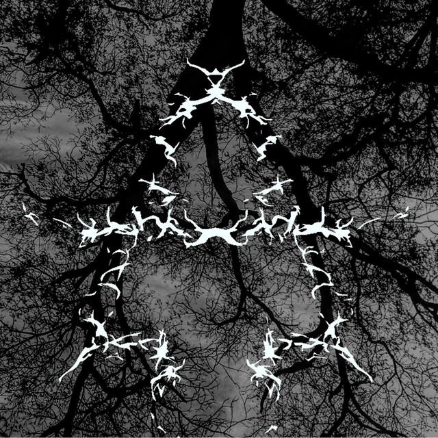 Bleak cover
