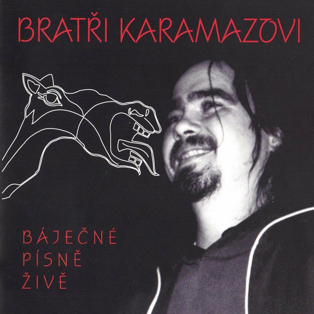 Bratři Karamazovi Photo