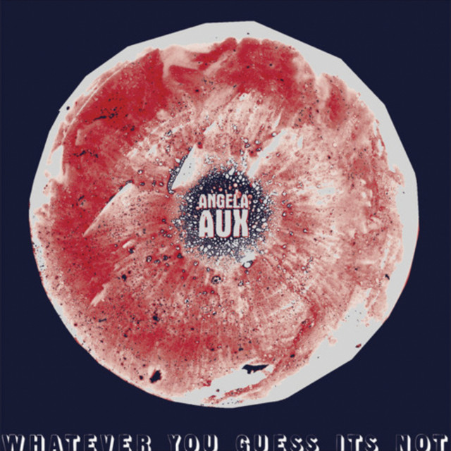 Whatever You Guess It Is cover art