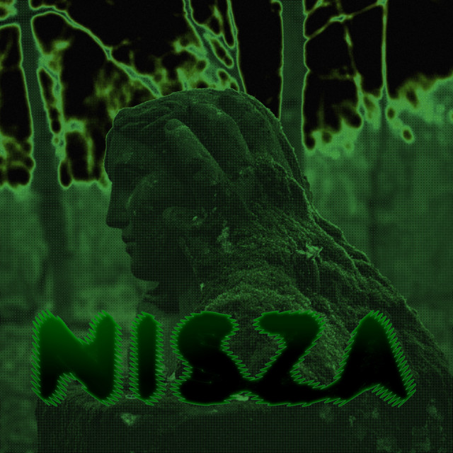 Nisza