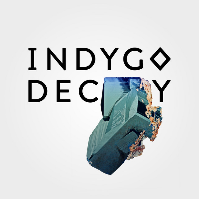 Decoy cover art