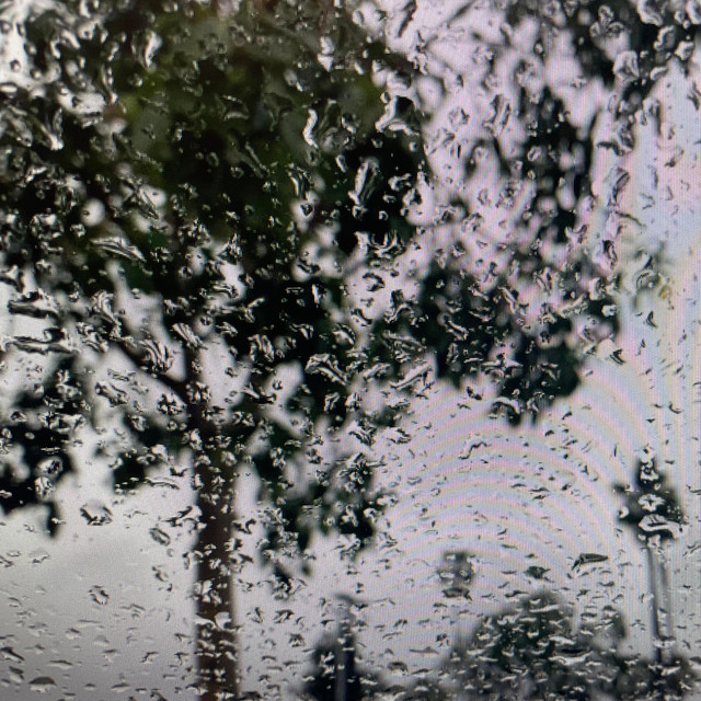 Sleeping through the morning rain