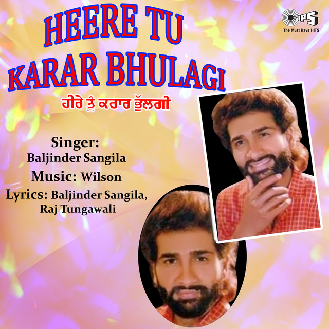 Heere Tu Karar Bhulagi cover art