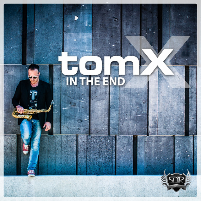 In the End - TomX Project Radio Mix cover art