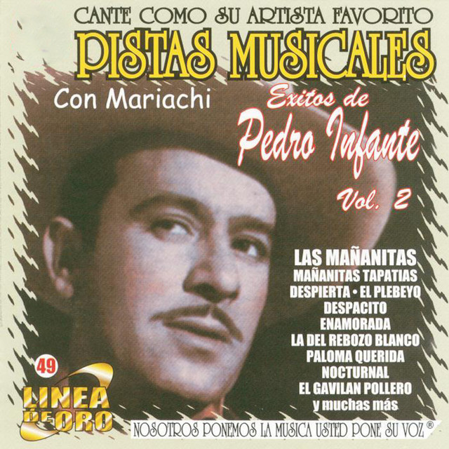 Pistas Musicales Con Mariachi Exitos de Pedro Infante Vol. 2
