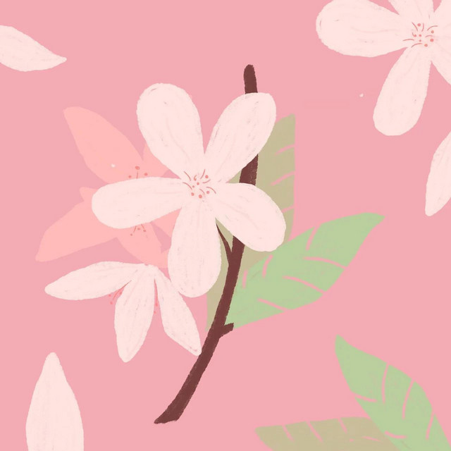 西门庆旋律 cover art