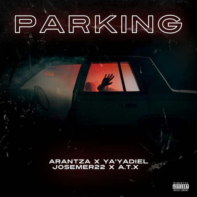 Parking cover art