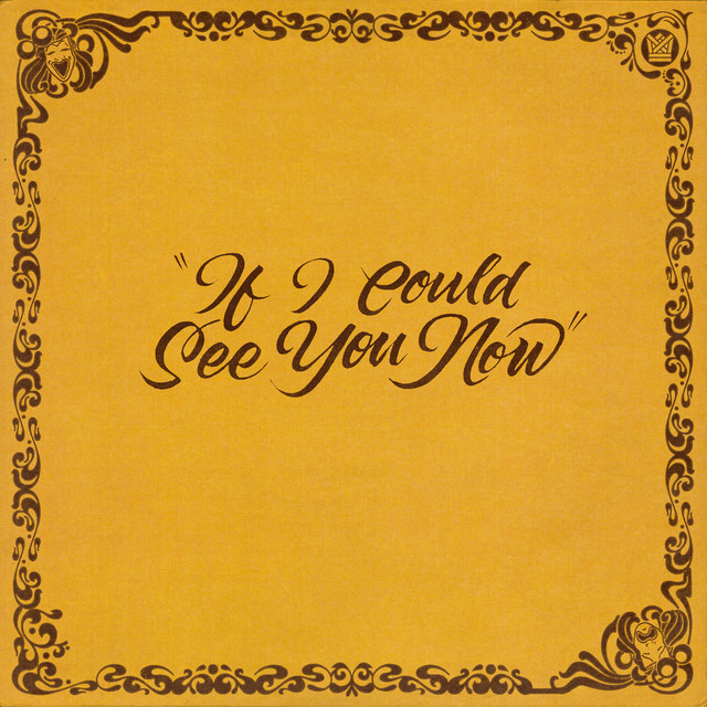 If I Could See You Now