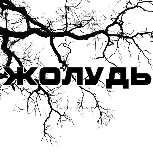 Обкладинка: Жолудь — Sabadash