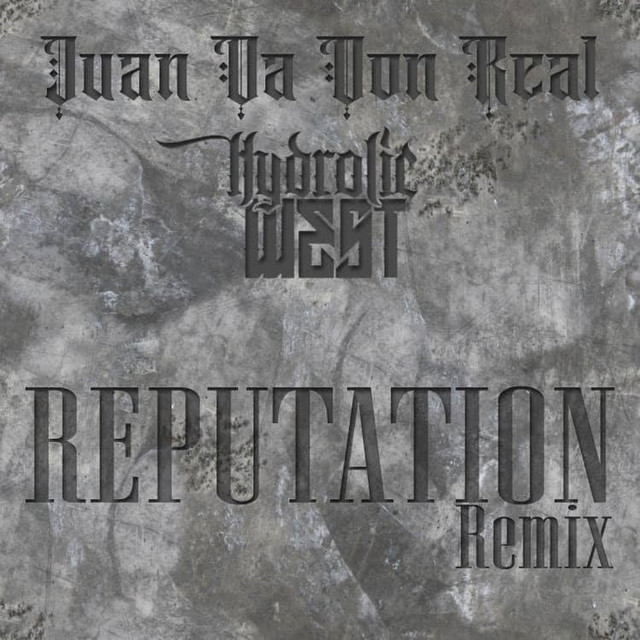 Reputation - Remix