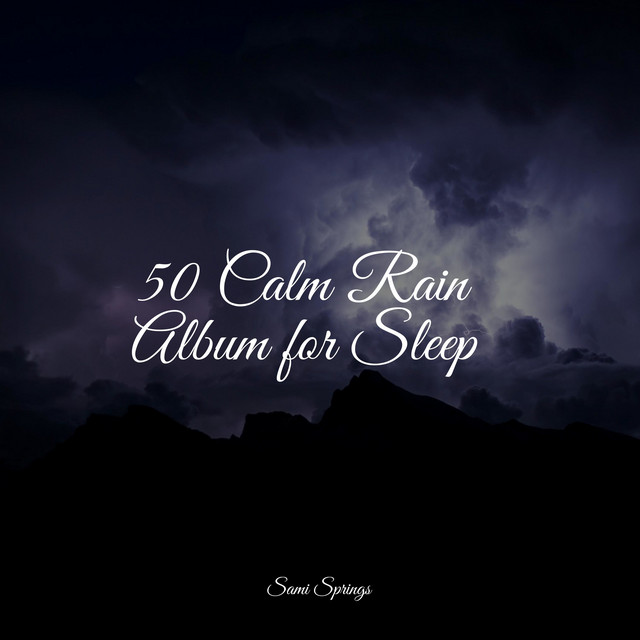 50 Calm Rain Album for Sleep - Album by Pro Sound Effects Library | Spotify