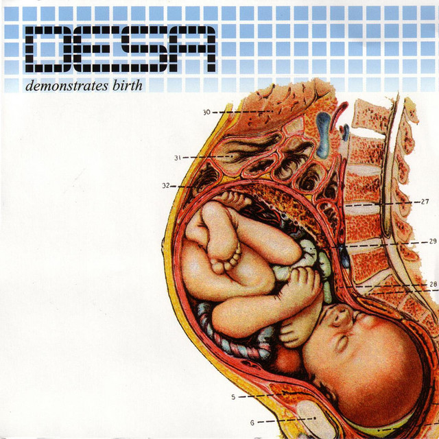 Demonstrates Birth cover