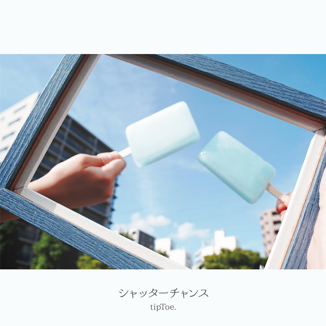 shutter chance cover