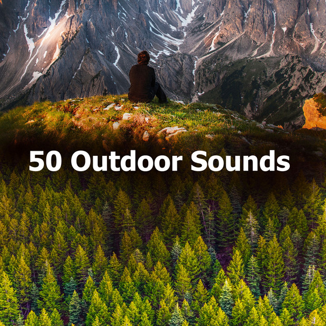 50 Outdoor Sounds - Album by Nature Sounds Radio | Spotify