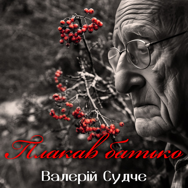 Обкладинка: Плакав батько — Валерій Судче