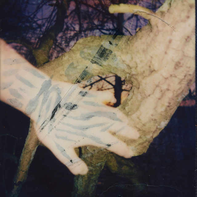 The Maze cover art