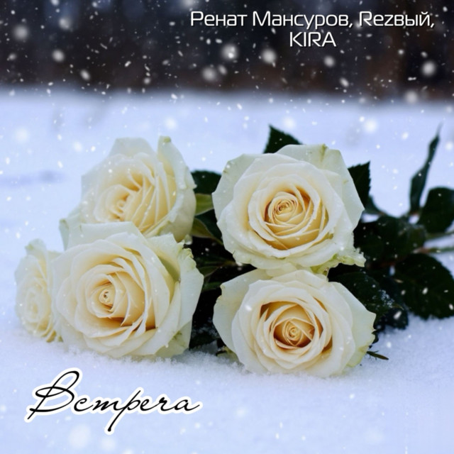 Ренат Мансуров