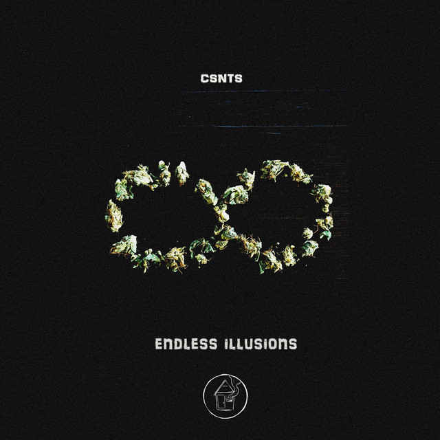 Endless Illusions cover art