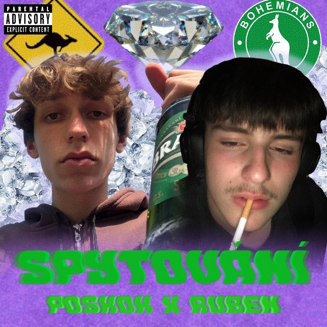 SPYTOVÁNÍ cover art