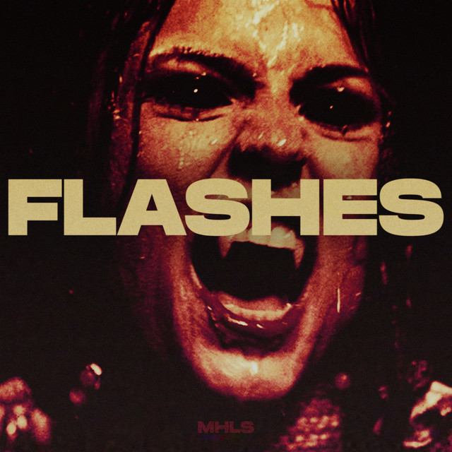 Flashes cover art
