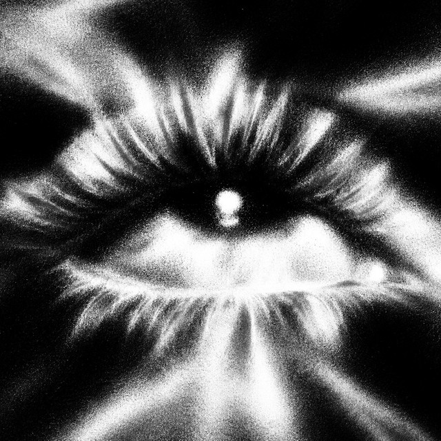 Auge