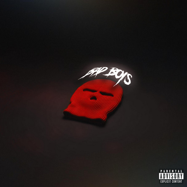 Bad Boys cover art