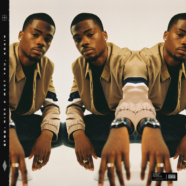 Nice 2 Meet You, Again cover art