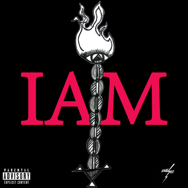 IAM cover art