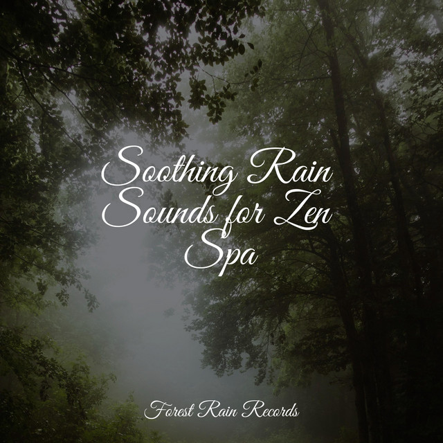 Soothing Rain Sounds for Zen Spa - Album by Nature Sound Series | Spotify