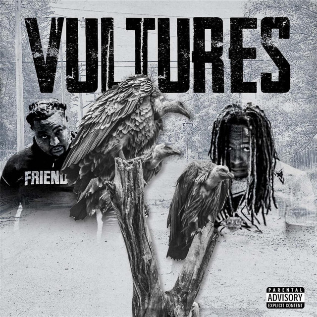 Vultures
