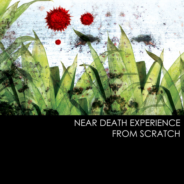 From Scratch cover art