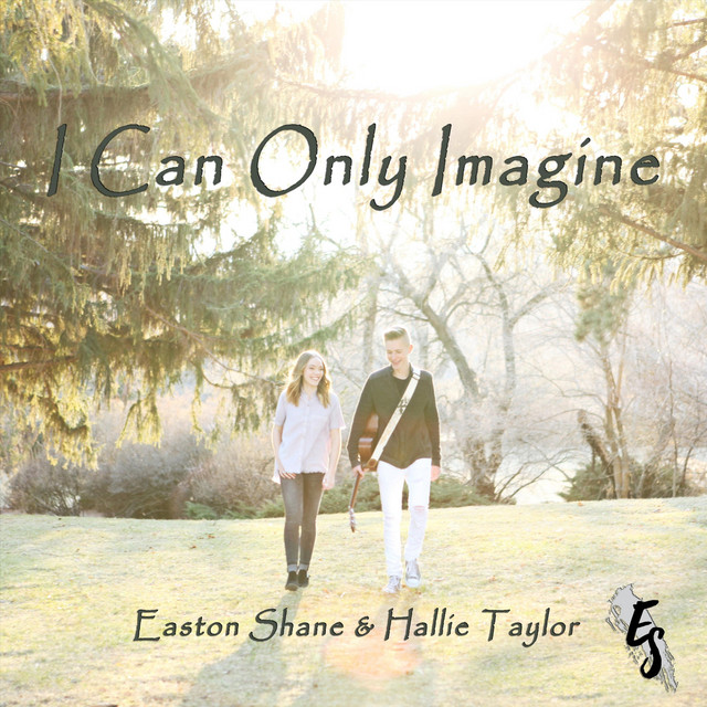 I Can Only Imagine