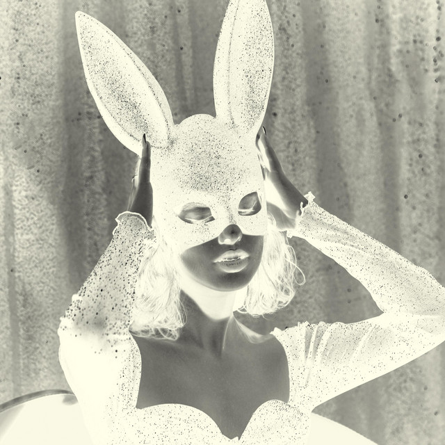 Like A Bunny