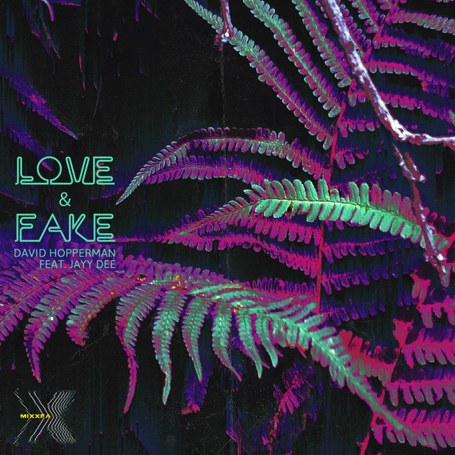 Love & Fake - Radio Edit