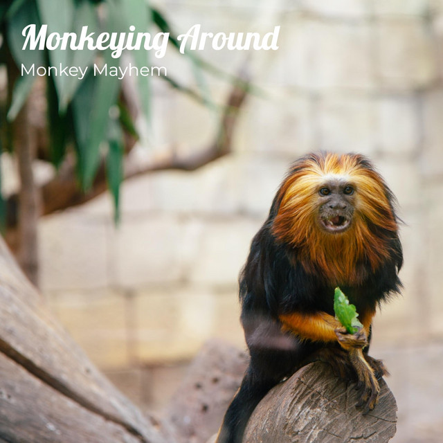 Monkeying Around - EP by Monkey Mayhem | Spotify