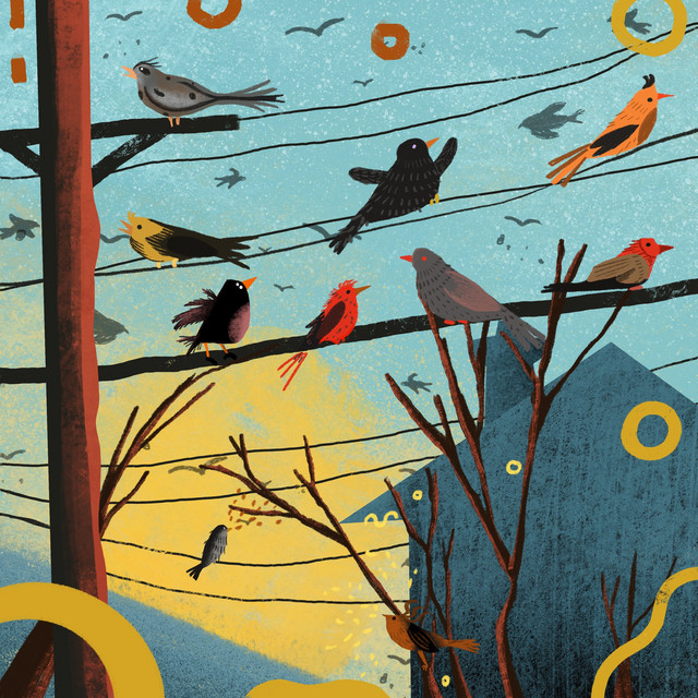 Dawn Chorus cover art