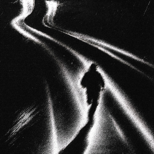 Den lange vej cover art