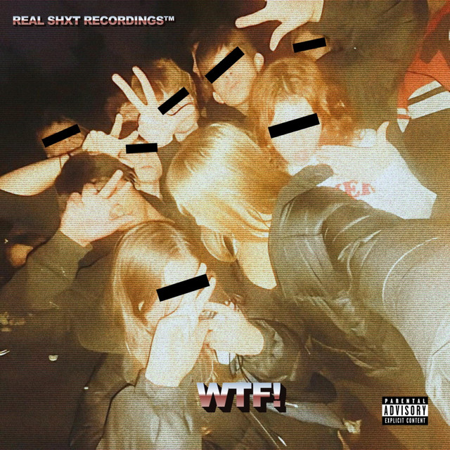 WTF!: A REAL SHXT RECORDINGS™ ALBUM cover art