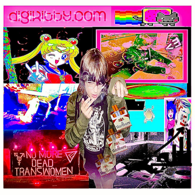 Digikitty.com cover art