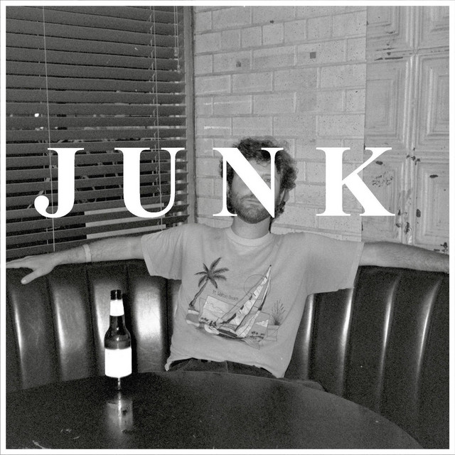 Junk cover art