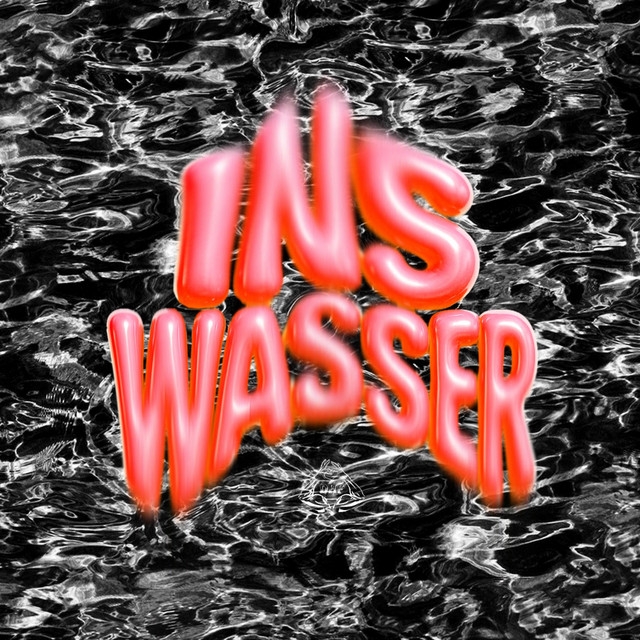 Ins Wasser cover