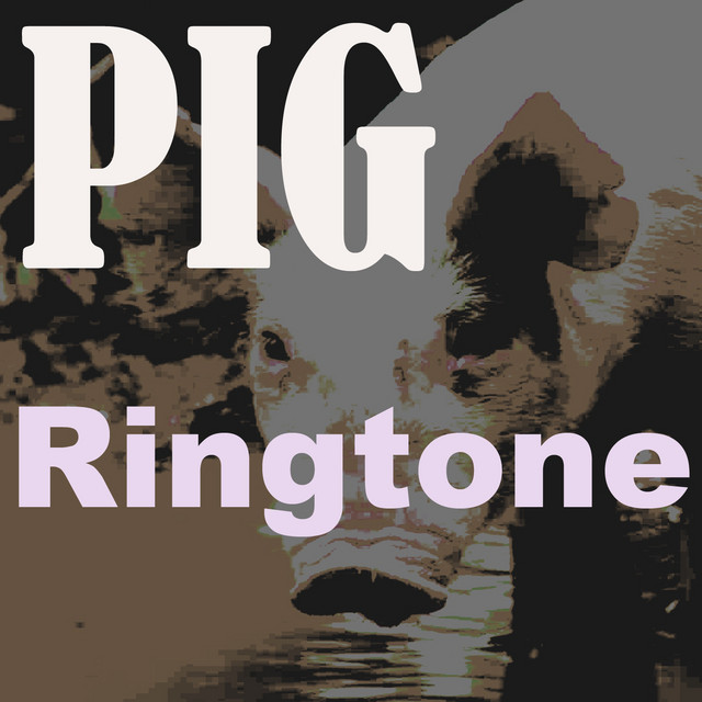 Pig Ringtone - Single by Ringtones | Spotify