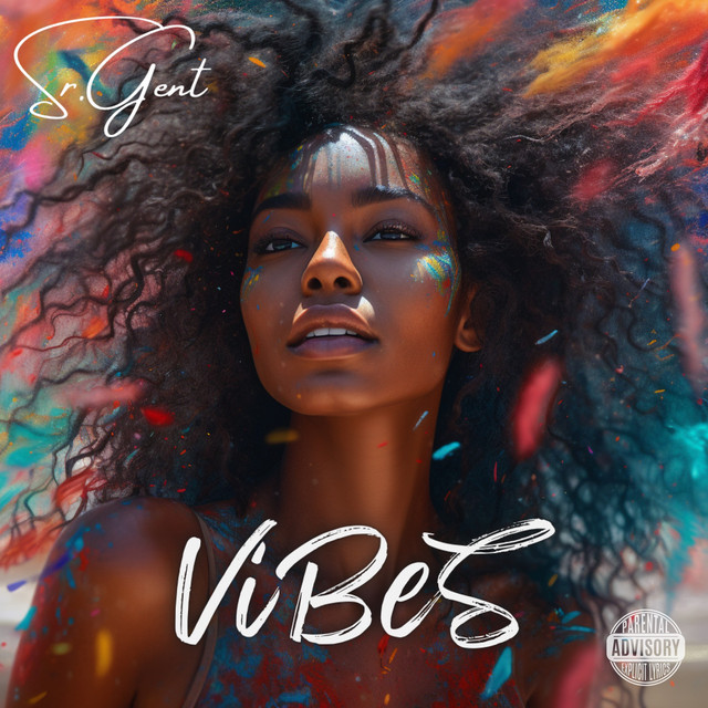 Vibes cover art