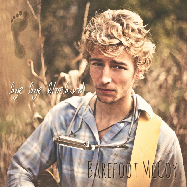 Bye Bye Bluebird cover