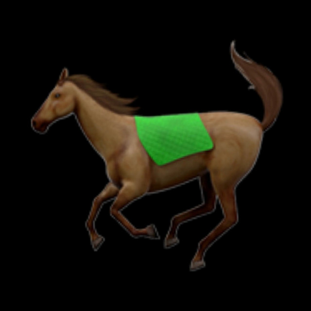 horses