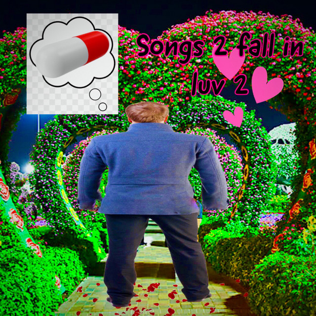 Songs 2 Fall In Luv 2 cover art