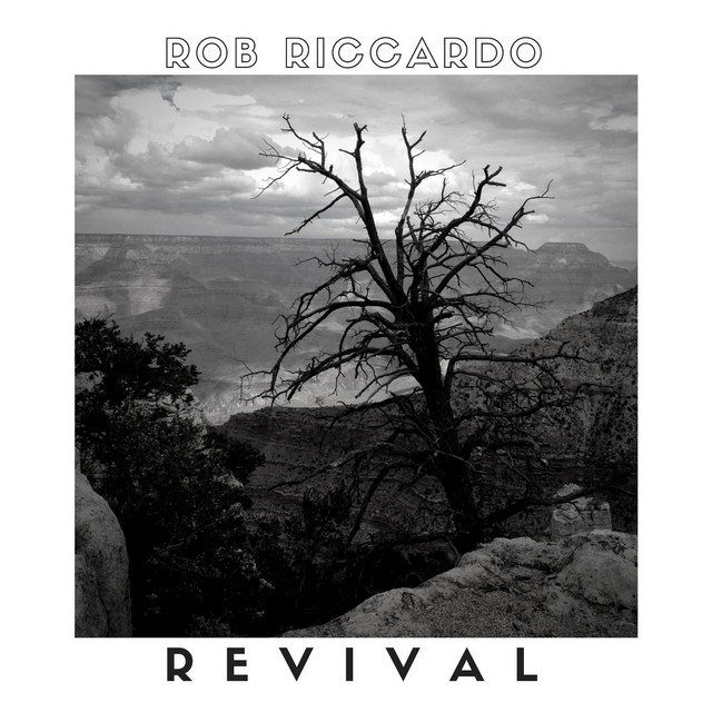 Revival - Single by Rob Riccardo | Spotify
